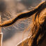 Caída de pelo en mujeres en otoño, ¿estacional o alopecia? - Dermatoclinic