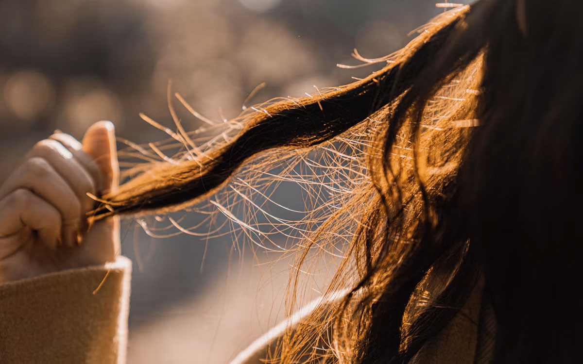 Caída de pelo en mujeres en otoño, ¿estacional o alopecia? - Dermatoclinic